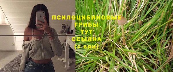 ГАЛЛЮЦИНОГЕННЫЕ ГРИБЫ Богородицк