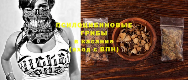 синтетический гашиш Богородск
