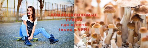синтетический гашиш Богородск