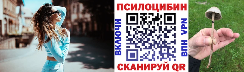 Галлюциногенные грибы прущие грибы  Купить закладки  Старая Купавна 